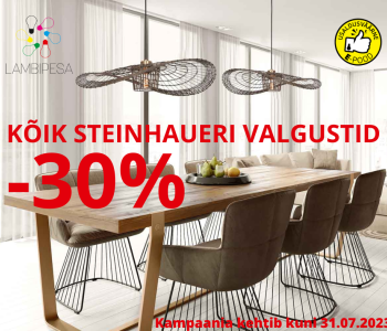 Steinhaueri kampaania